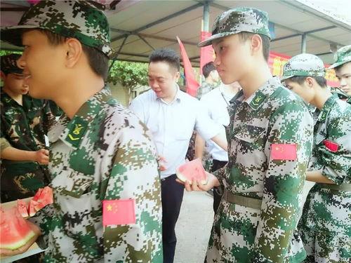 娱乐吃瓜军,吃瓜军背后的故事与真相